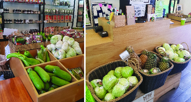 (HỘ KINH DOANH) TRẦN THỊ NGỌC QÚI