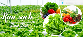 (HỘ KINH DOANH) TRẦN THỊ NGỌC QÚI